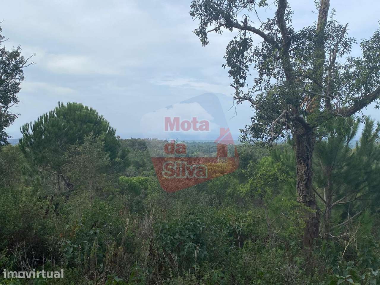 Terreno com vista 360º em São Francisco da Serra - Grande imagem: 3/12