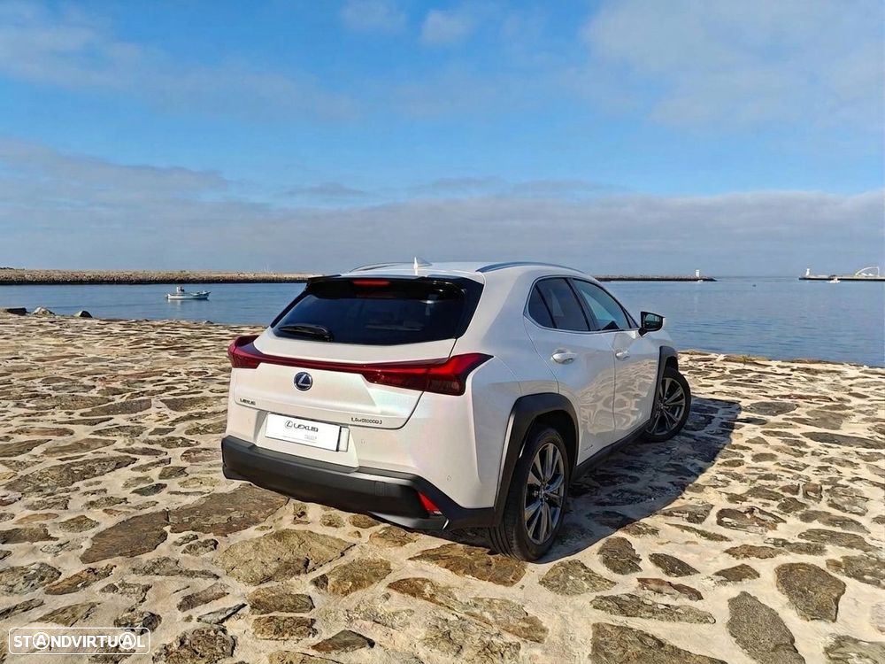 Lexus UX 250h F Sport - 2