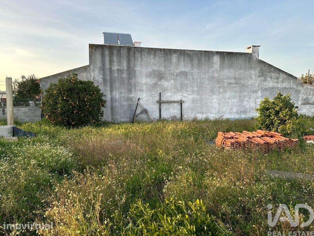 Terreno para construção em Palmela - Grande imagem: 5/7