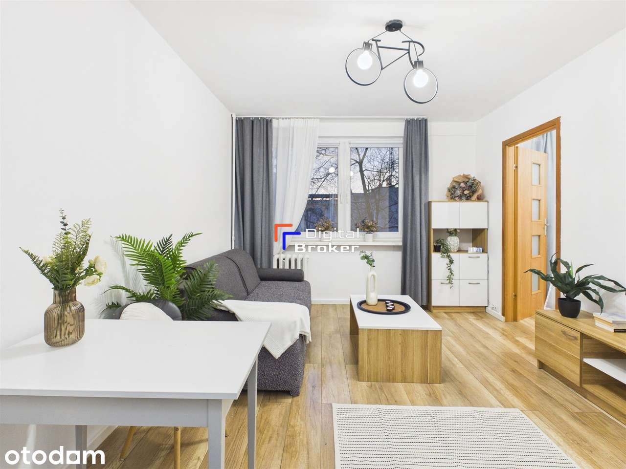 | Centrum Otwocka | Gotowe do wprowadzenia | Piwnica |