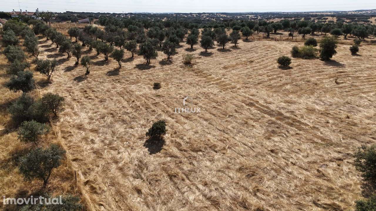 Oportunidade Única no Coração do Alentejo - Monte com Ruína Próximo da - Grande imagem: 3/11