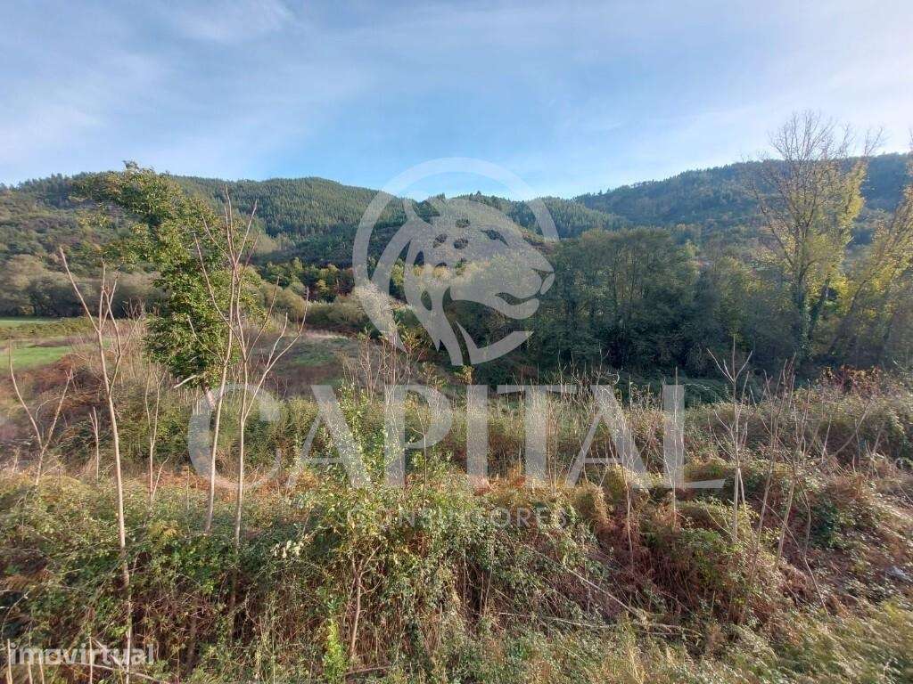 Terreno com Ruína Pisão / Côja - Grande imagem: 5/13