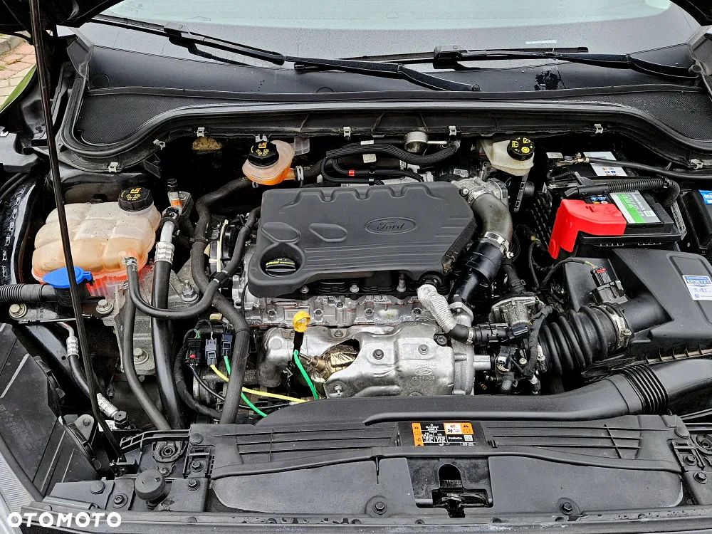 Ford Focus - 32