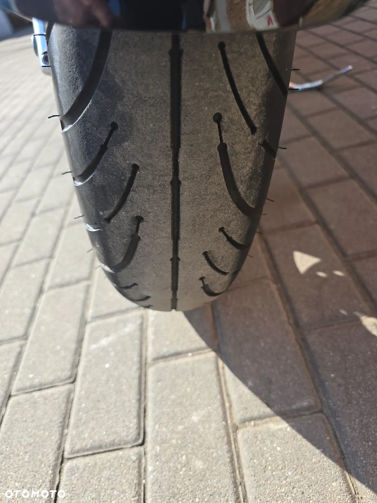 Indian Chieftain - 11