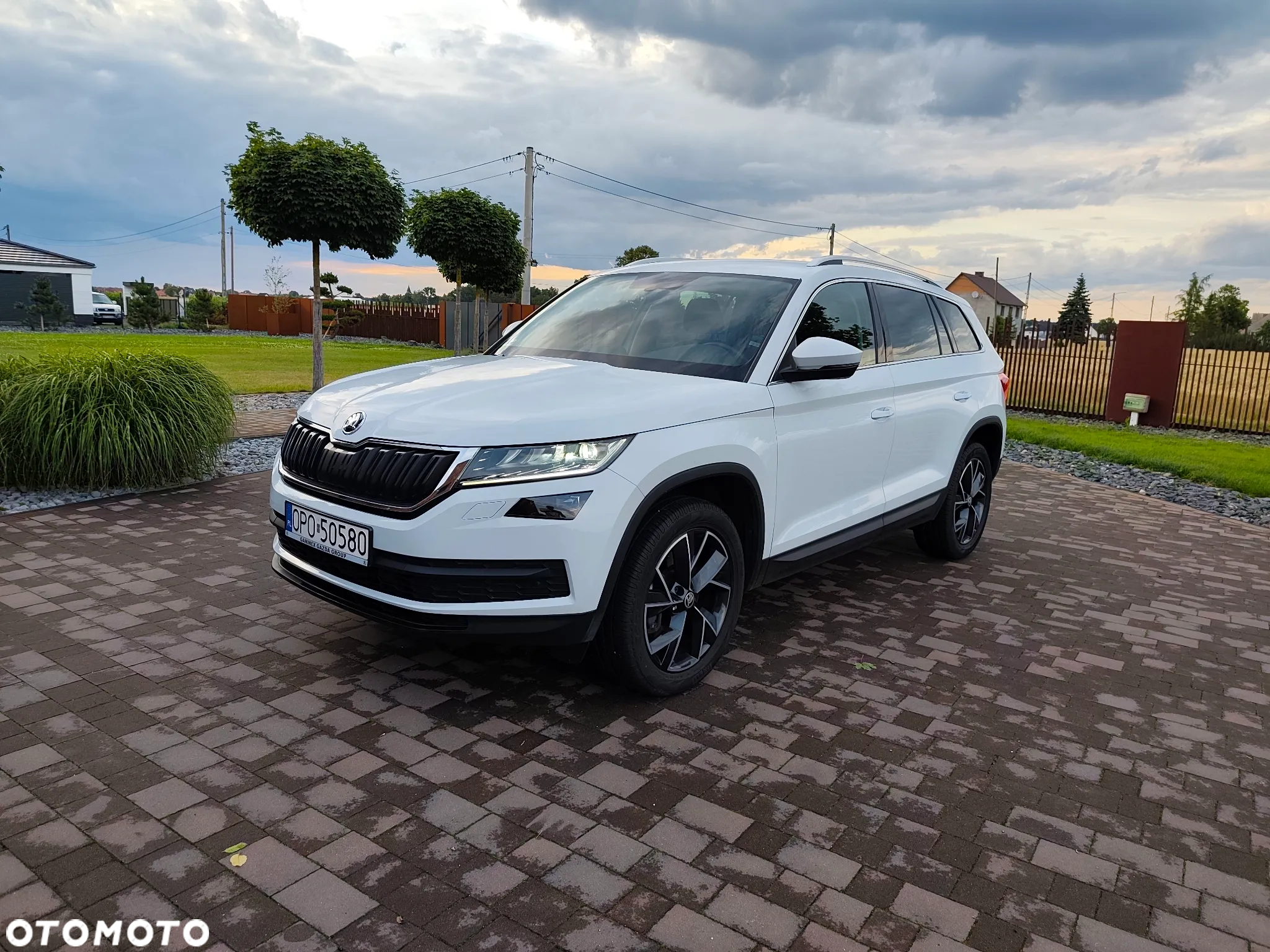 Skoda Kodiaq 2.0 TDI 4x4 Business DSG - 2