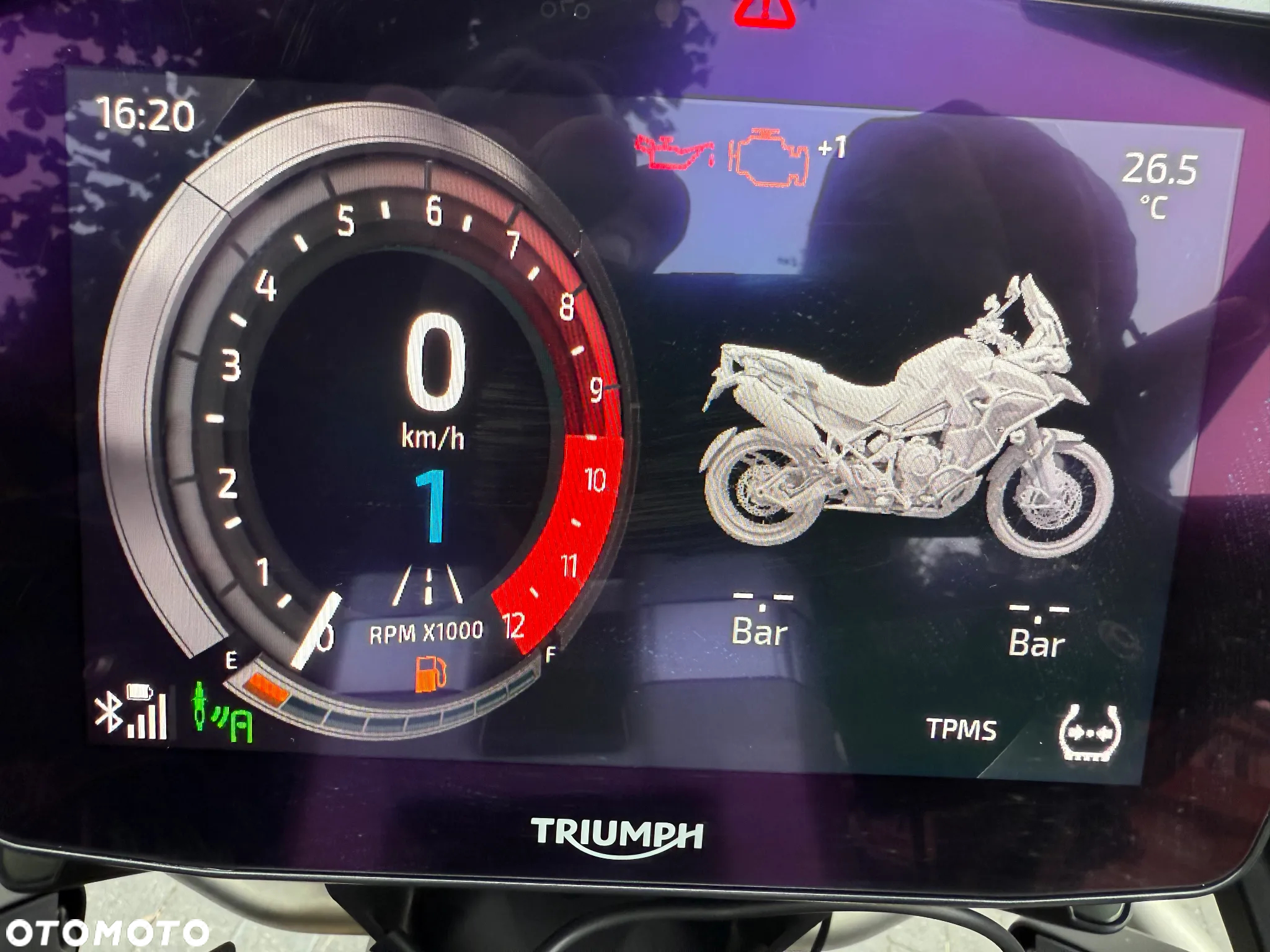 Triumph Tiger - 28