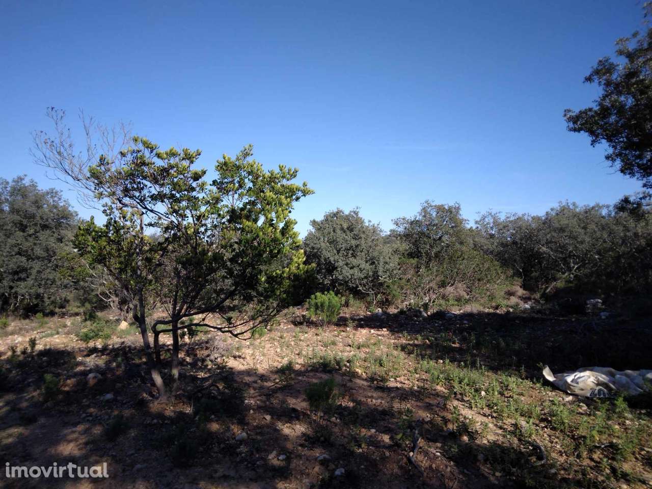 Terreno nos arredores de São Brás de Alportel - Grande imagem: 4/9