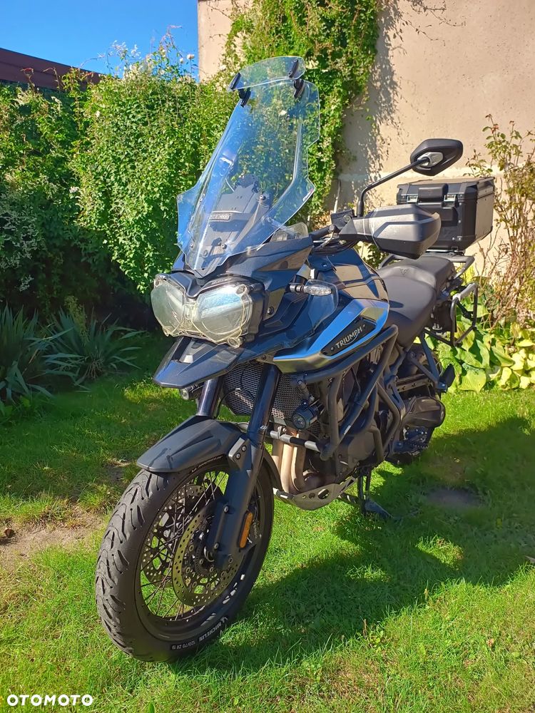 Triumph Tiger - 1