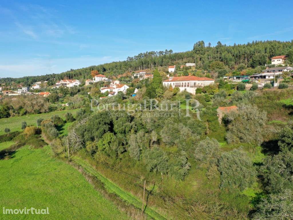 Quinta com 8 ha e solar do século XVIII, na região de Ferreira do Z... - Grande imagem: 3/36