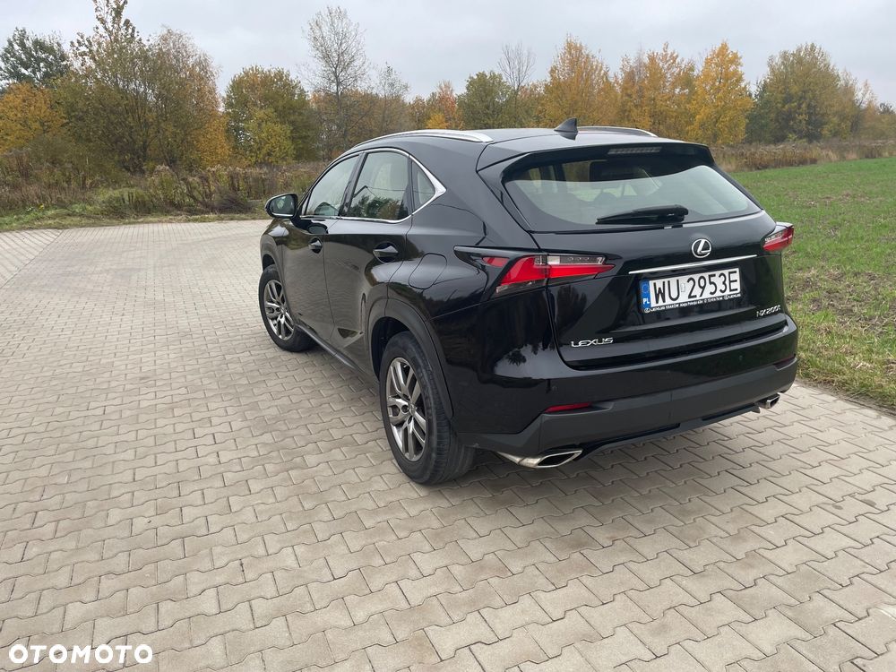 Lexus NX - 7