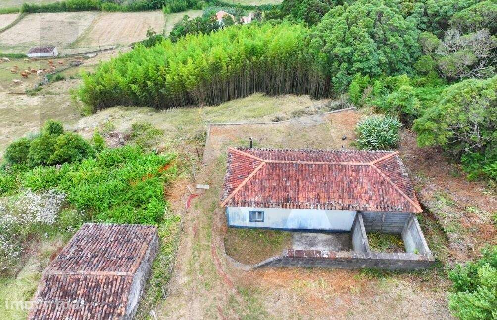 Moradia T0 - Boa Vista, Santa Bárbara | Vila do Porto - Grande imagem: 5/19