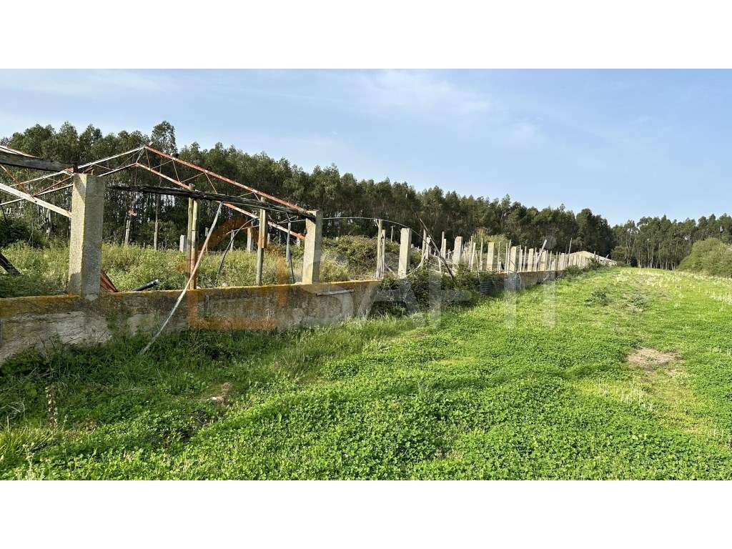 Terreno rustico industrial - Grande imagem: 5/38