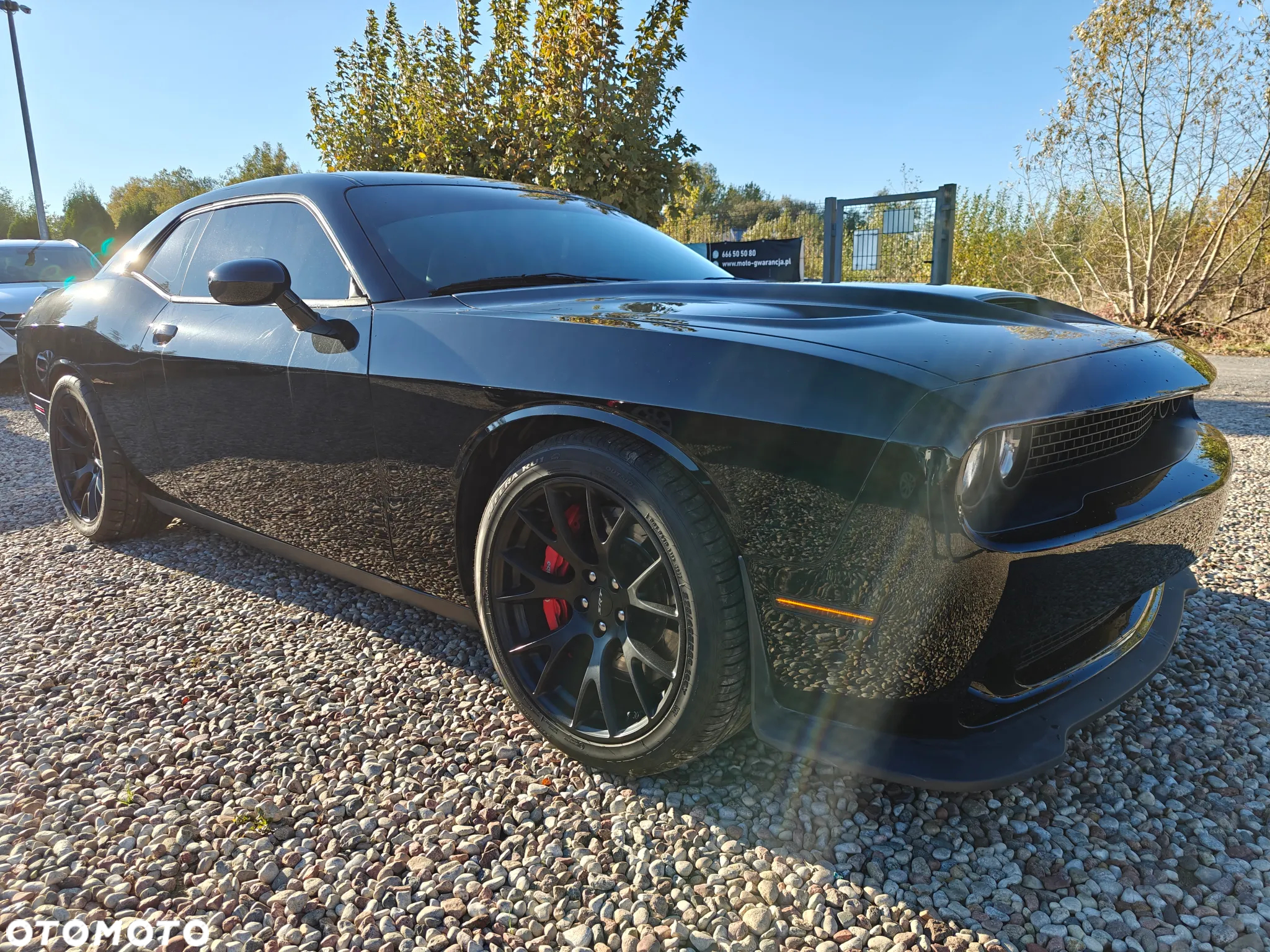 Dodge Challenger - 10
