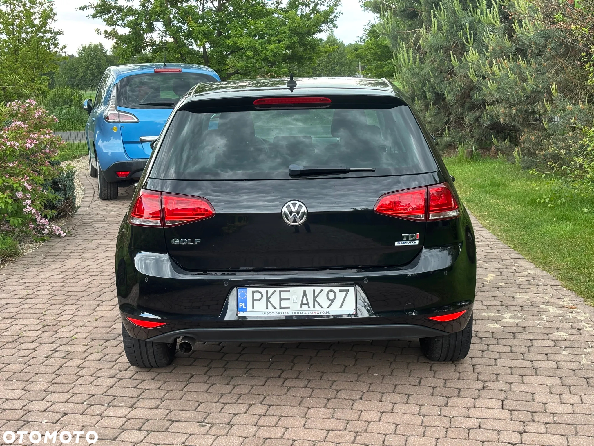 Volkswagen Golf 1.6 TDI BlueMotion Technology Allstar - 9