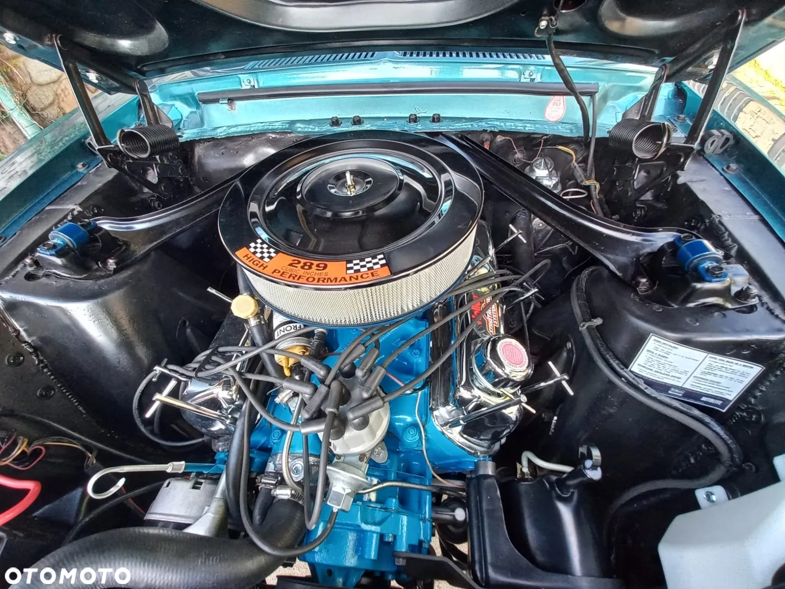 Ford Mustang - 20