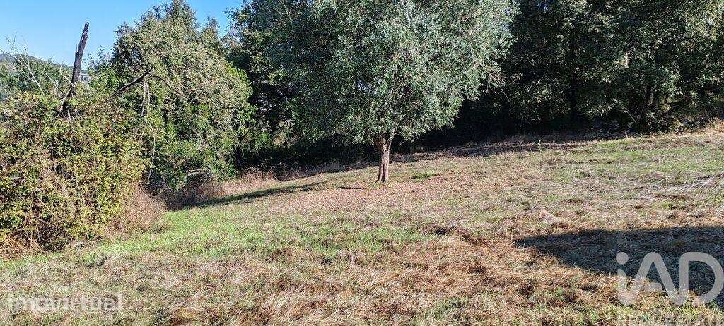 Terreno Agrícola em Santiago da Guarda - Grande imagem: 5/14