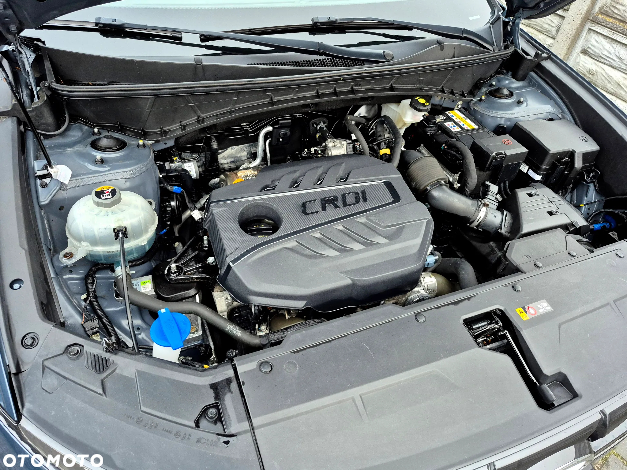 Hyundai Tucson 1.6 CRDi 48V Executive 2WD DCT - 29