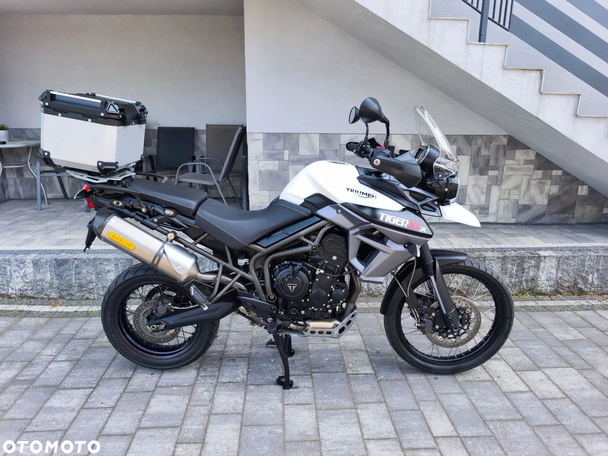 Triumph Tiger - 1