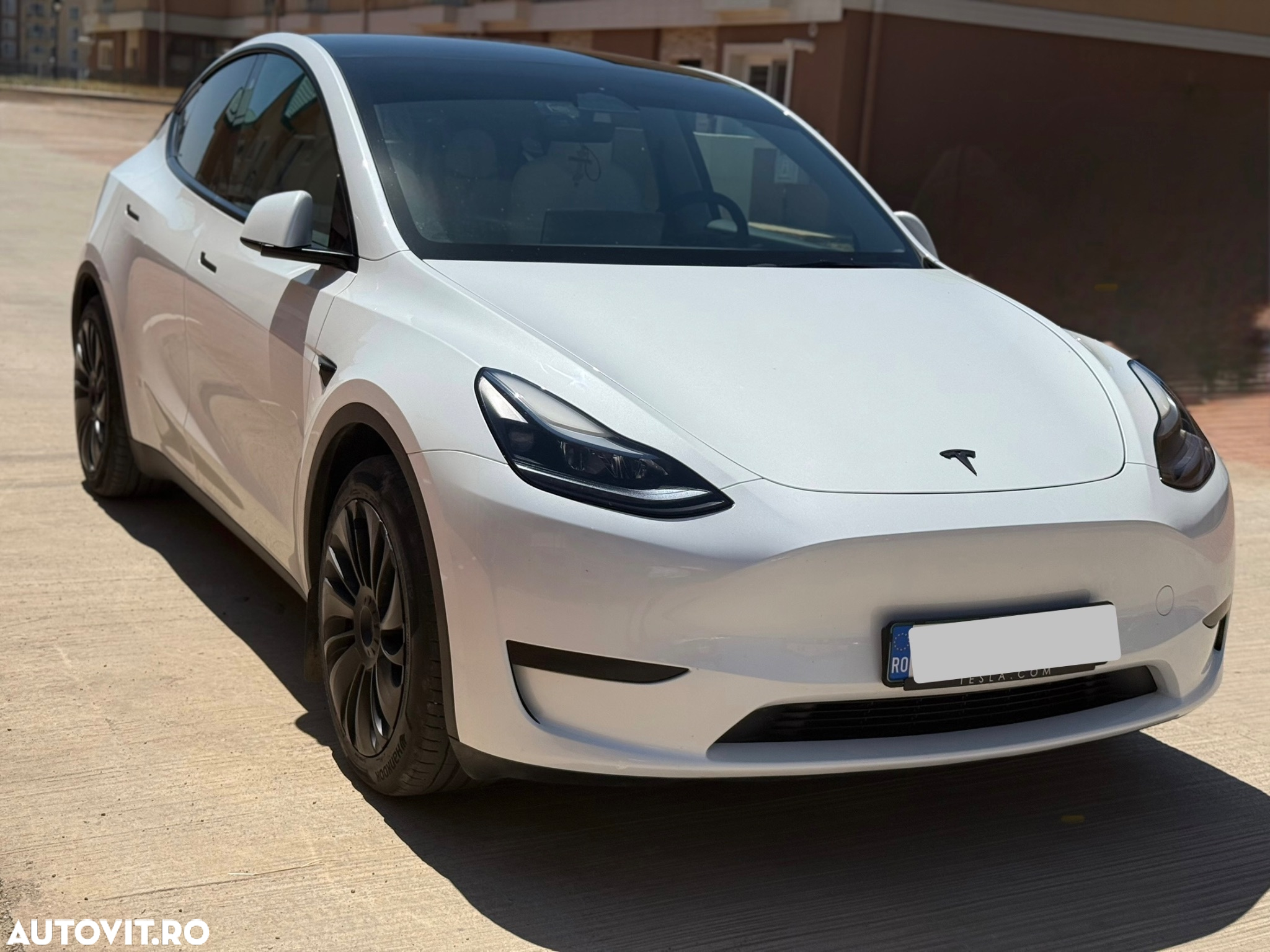 Tesla Model Y RWD - 2