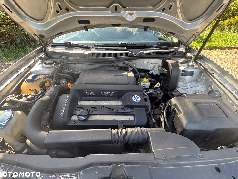 Volkswagen Golf IV 1.4 16V Basis - 17