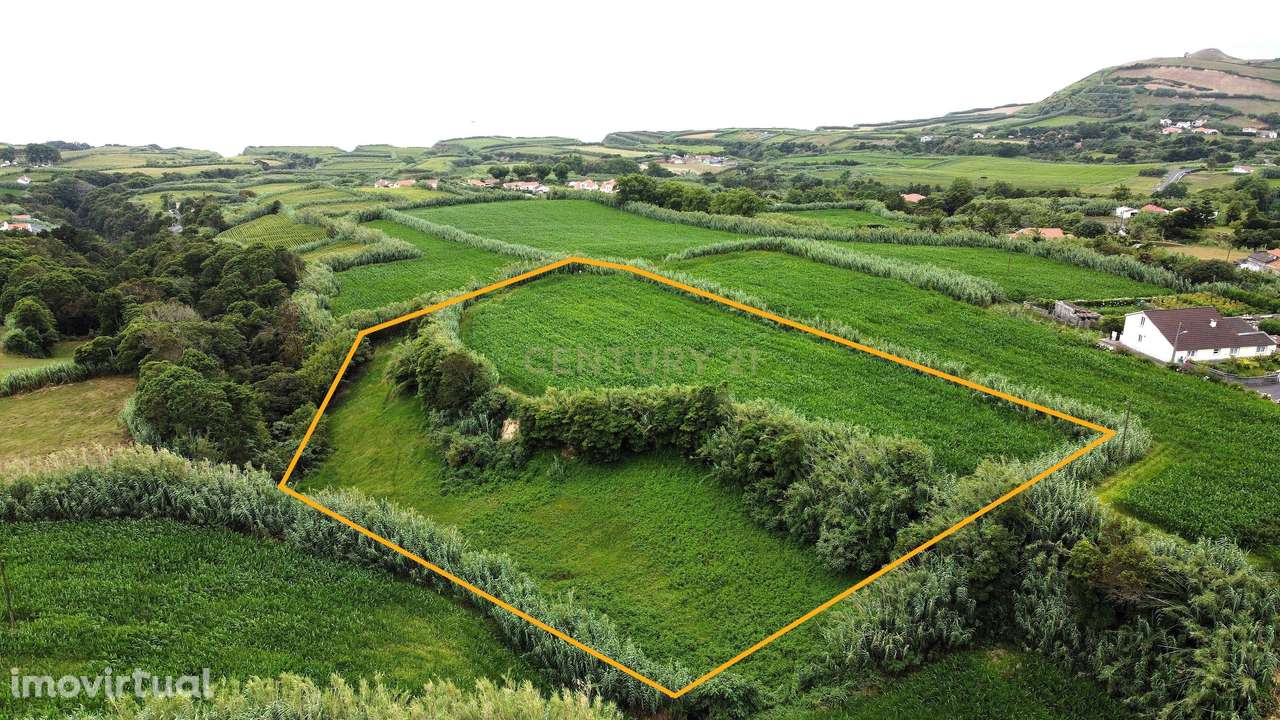 Terreno com Viabilidade de Construção, nos Ginetes - Grande imagem: 2/5