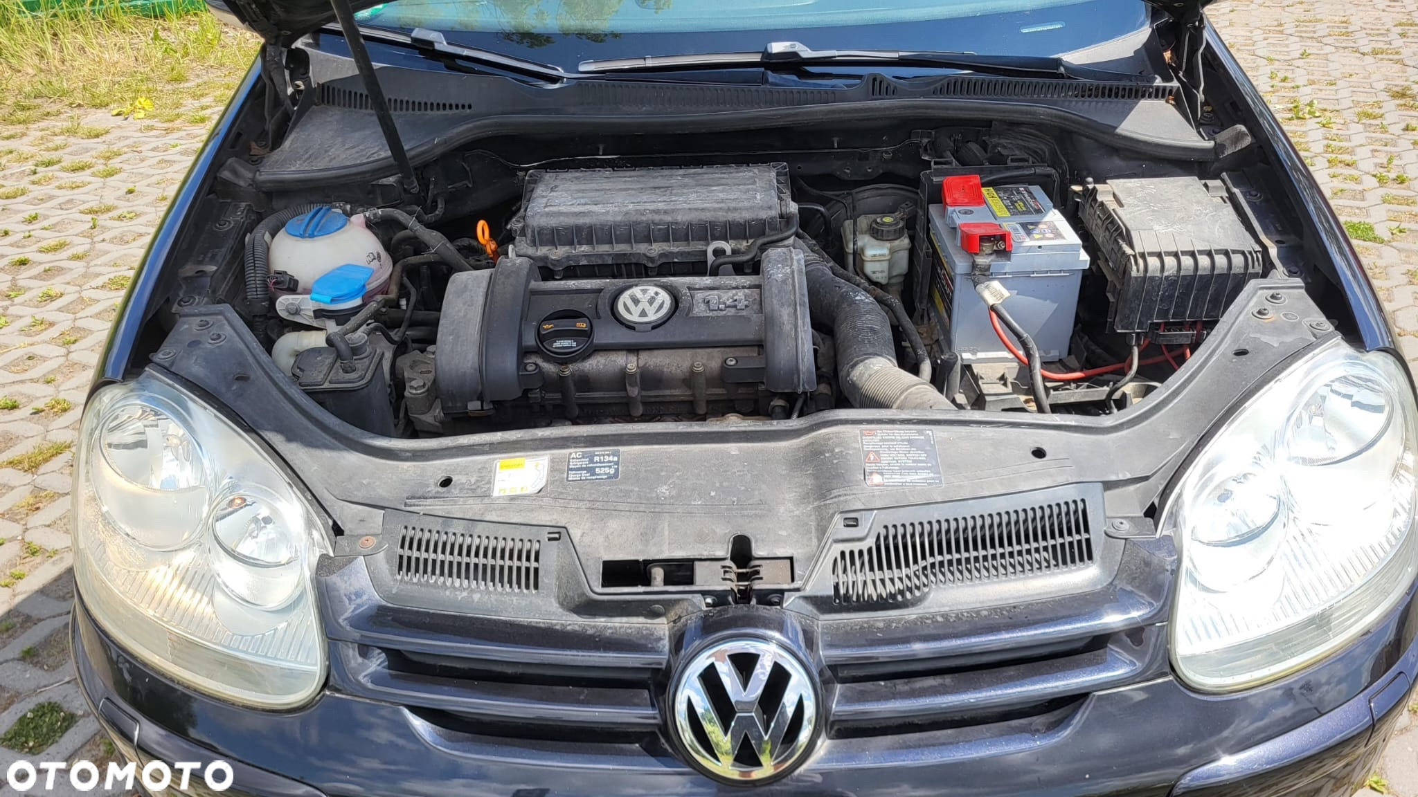 Volkswagen Golf - 34