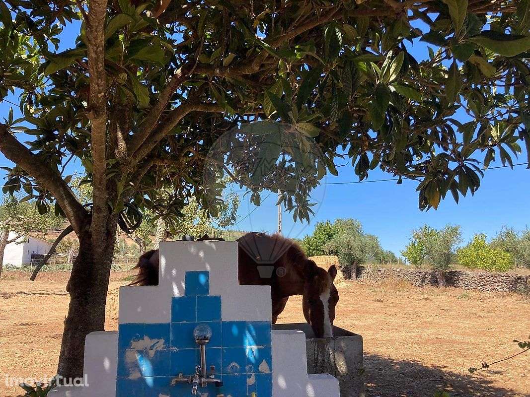 Quinta T2 para venda - Grande imagem: 3/25