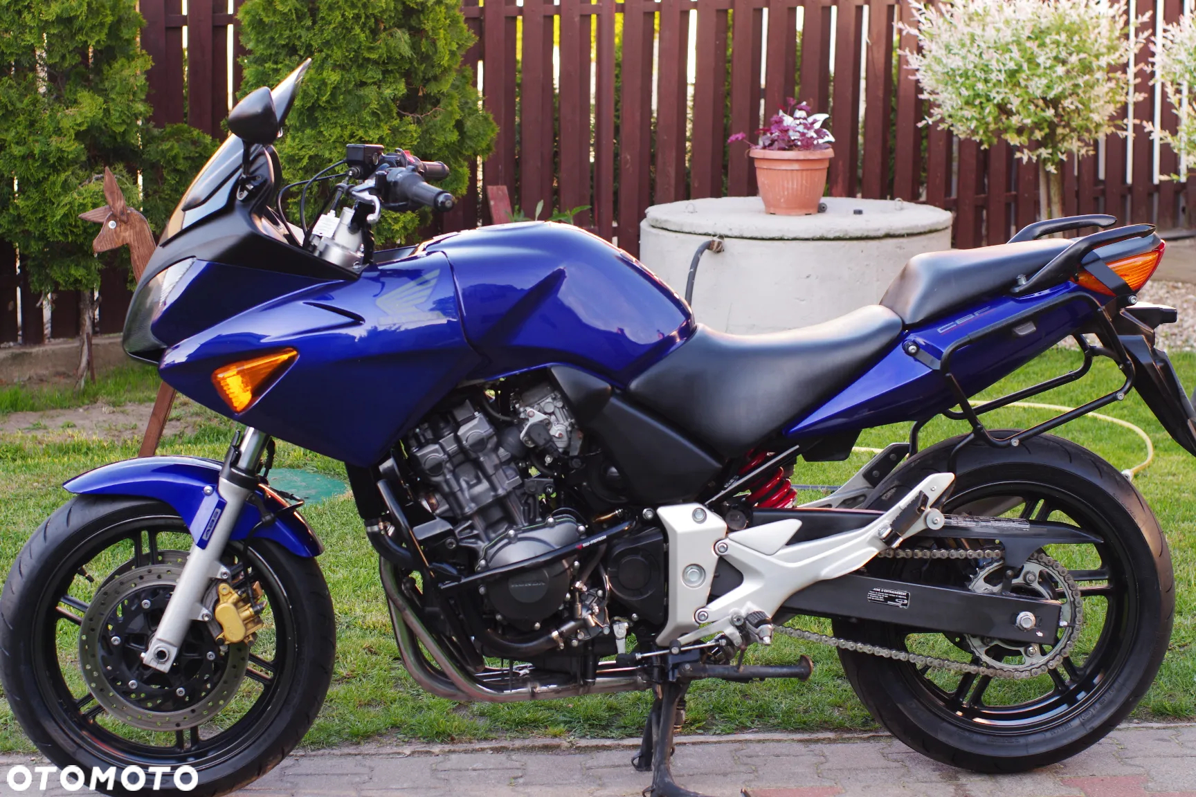 Honda Hornet - 19