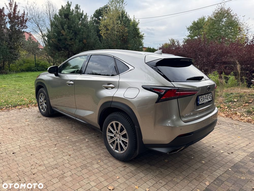 Lexus Nx 2019 photo 2
