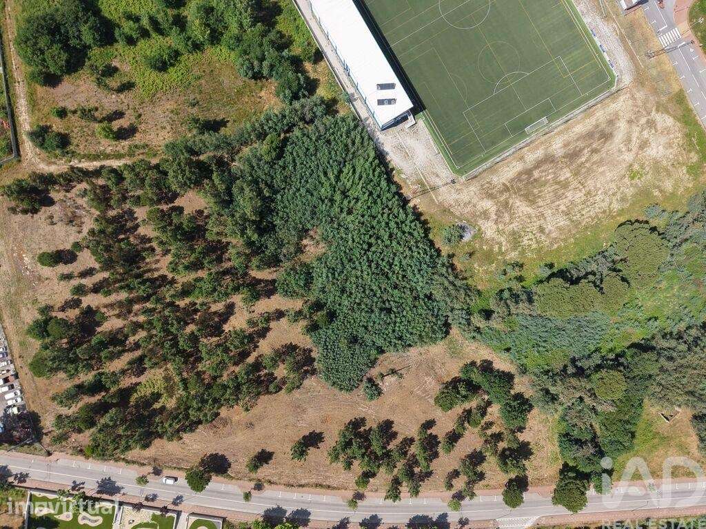 Terreno Agrícola em Carregal do Sal - Grande imagem: 4/10