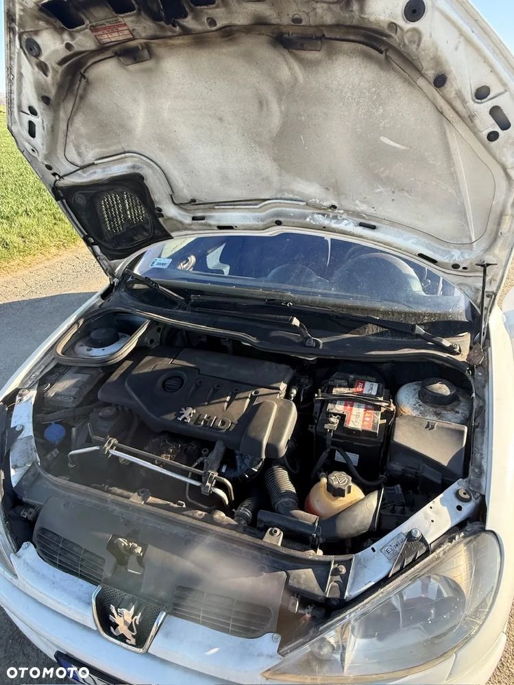 Peugeot 206 - 18