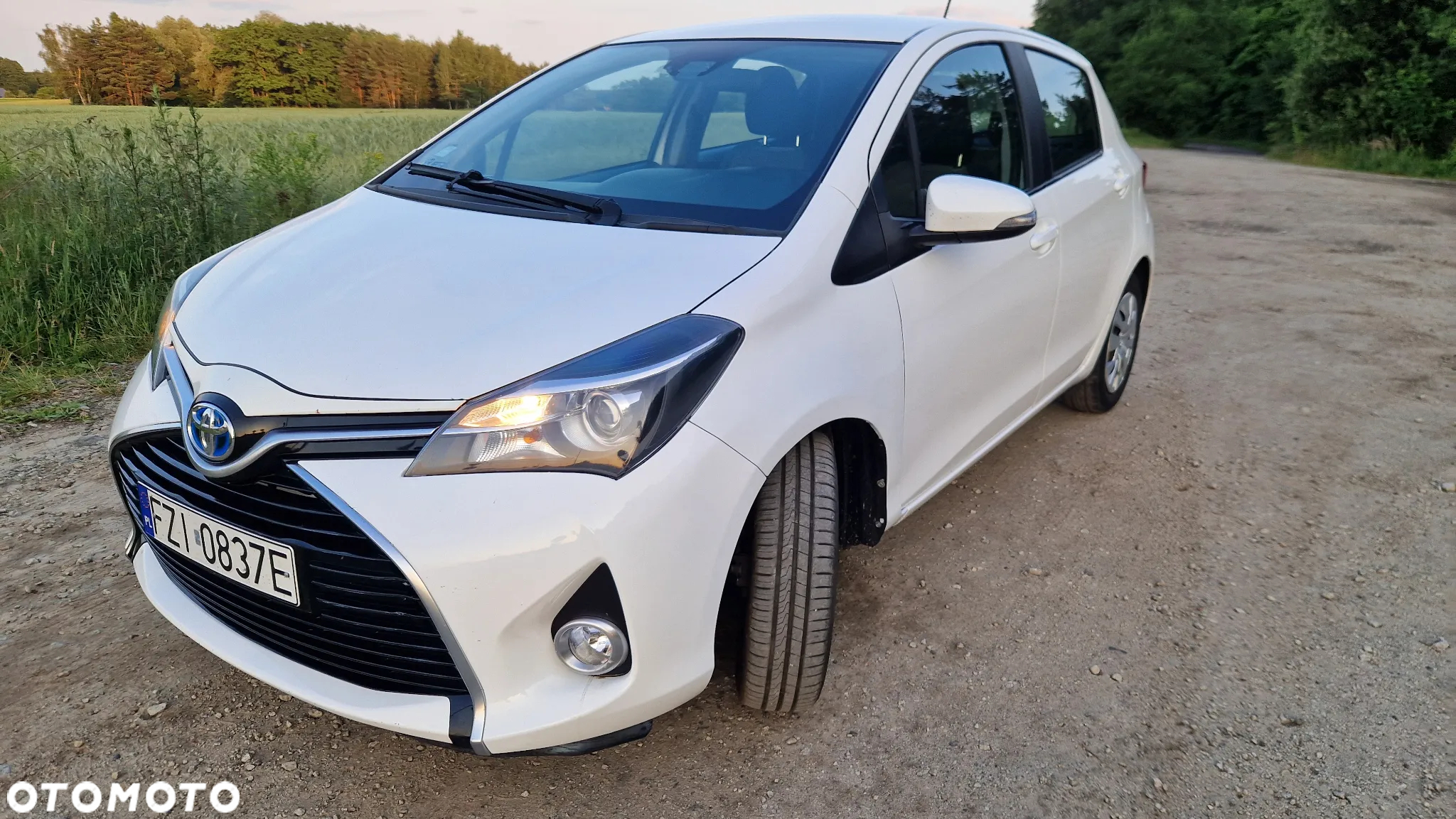 Toyota Yaris Hybrid 100 Business Edition - 15