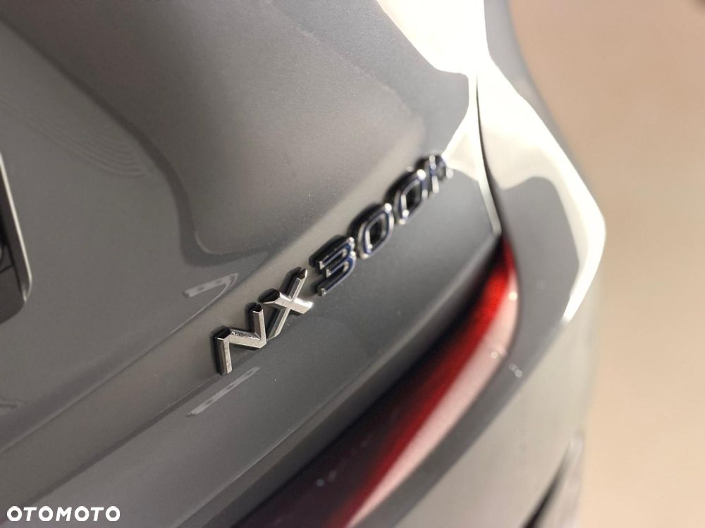 Lexus NX - 17