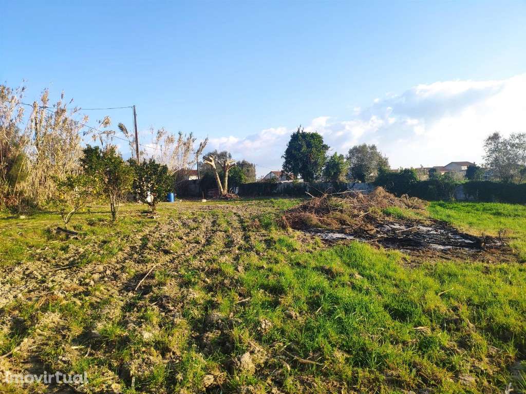 Terreno para construção, São Martinho da Árvore - Grande imagem: 3/10