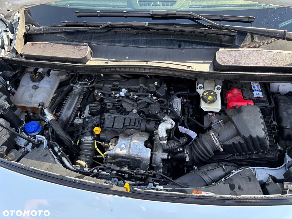 Ford Transit Connect Kombi 230 L2 Trend PowerShift - 13