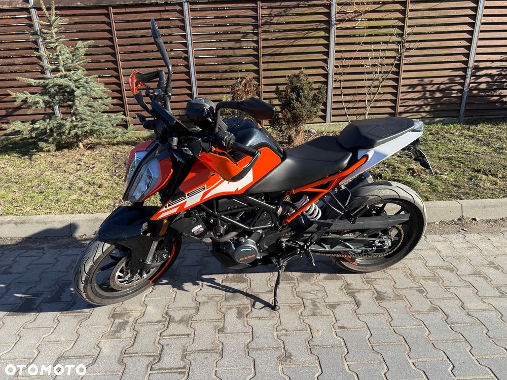 KTM Duke - 1