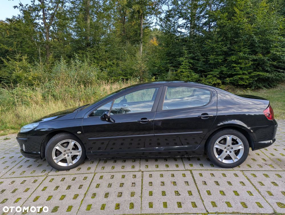 Peugeot 407 - 8