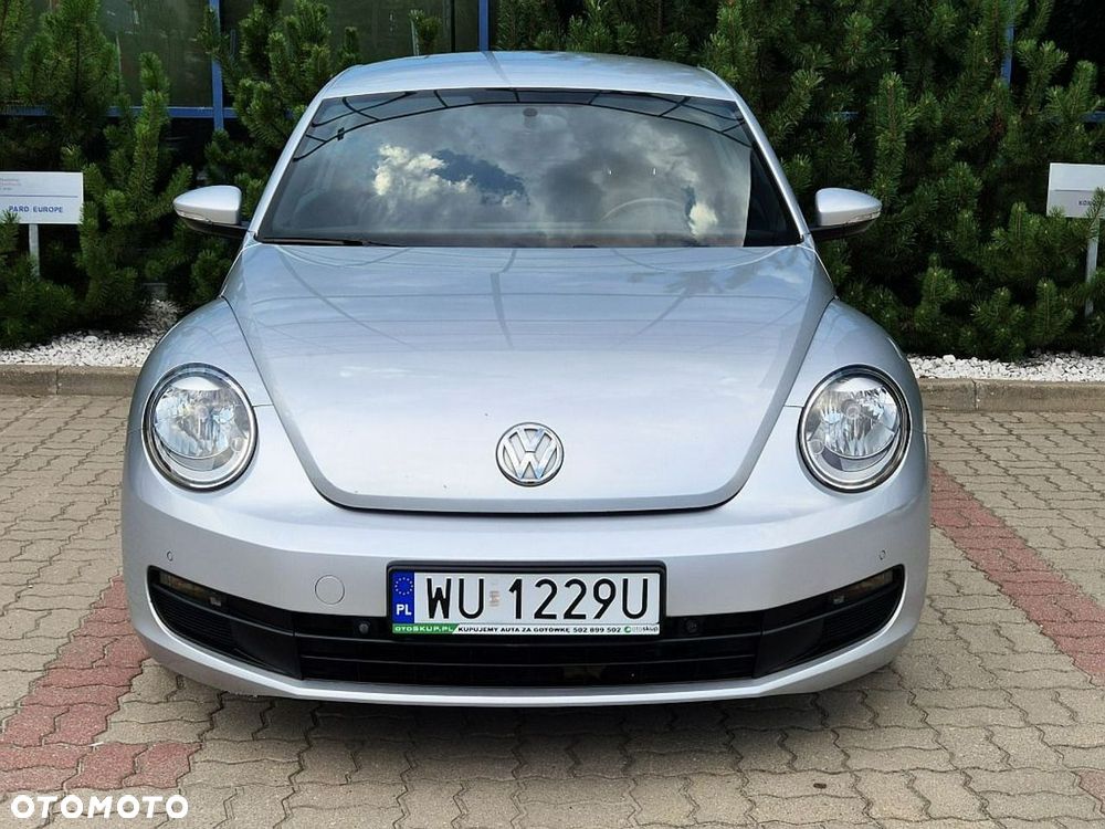 Volkswagen Beetle - 13
