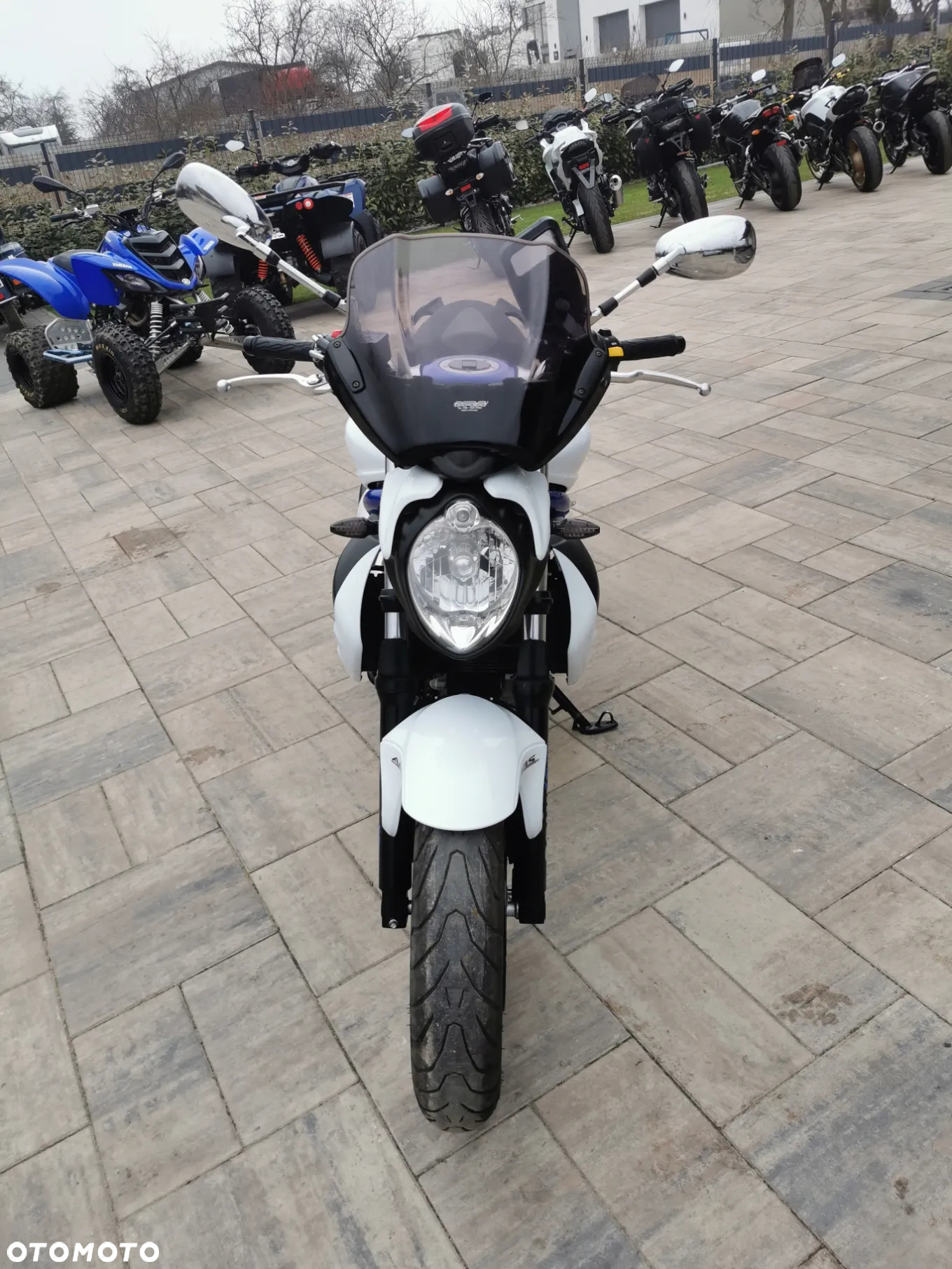 Suzuki Gladius - 24