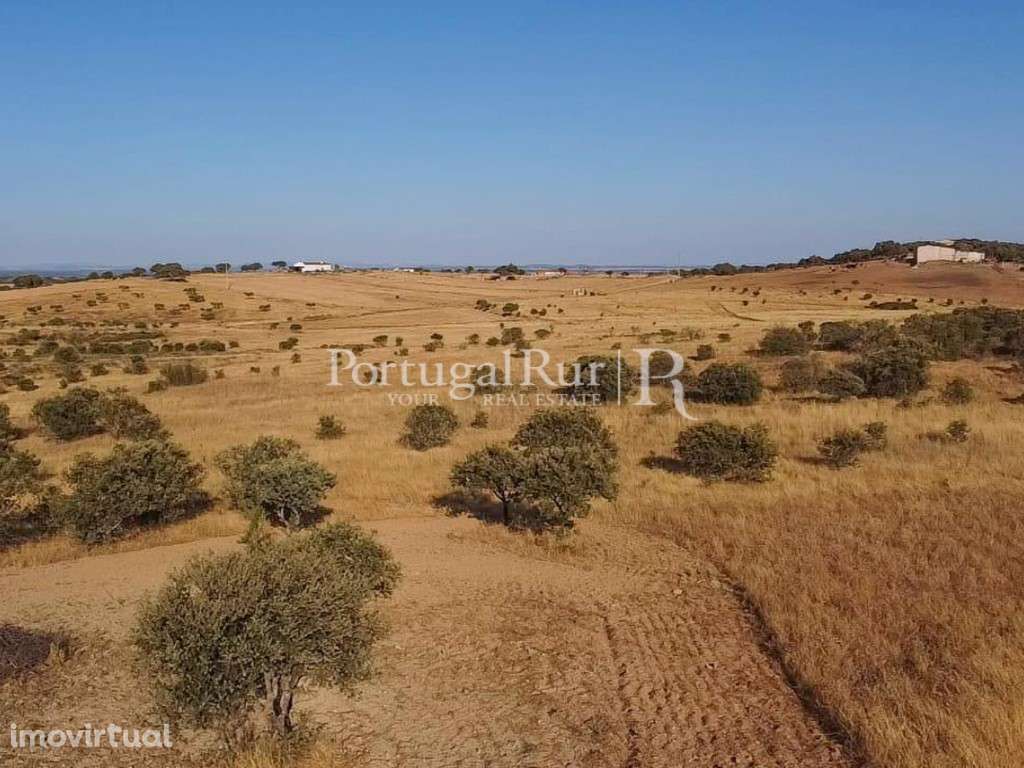 Terreno urbano com 8 ha e vista para o Castelo de Monsaraz, Alentejo - Grande imagem: 2/3