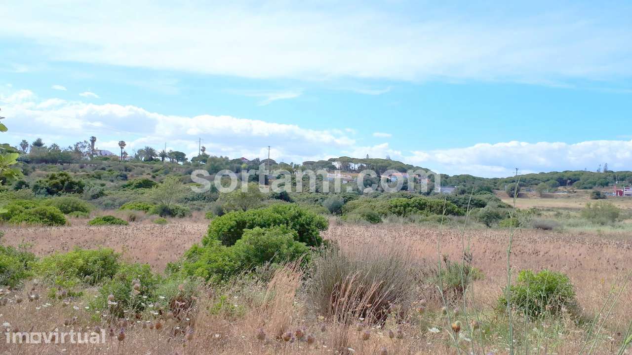 Terreno Rústico  Venda em Porches,Lagoa (Algarve) - Grande imagem: 2/7