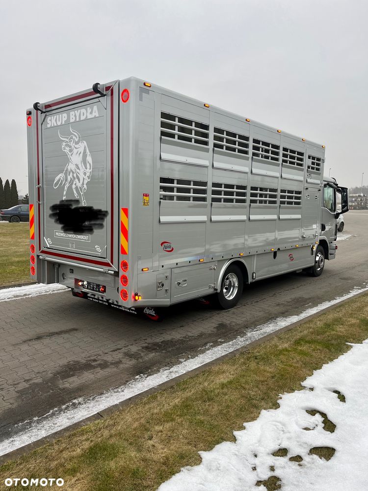 MAN TGL 12.250 2022 Do żywca zwierząt - 5