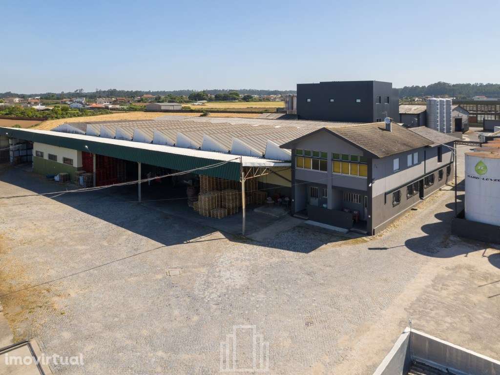 Armazém - Avanca - Grande imagem: 2/12