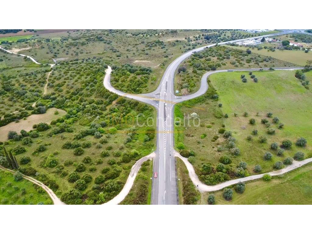 Terreno Rustico | Torres Novas - Zibreira - Grande imagem: 3/16