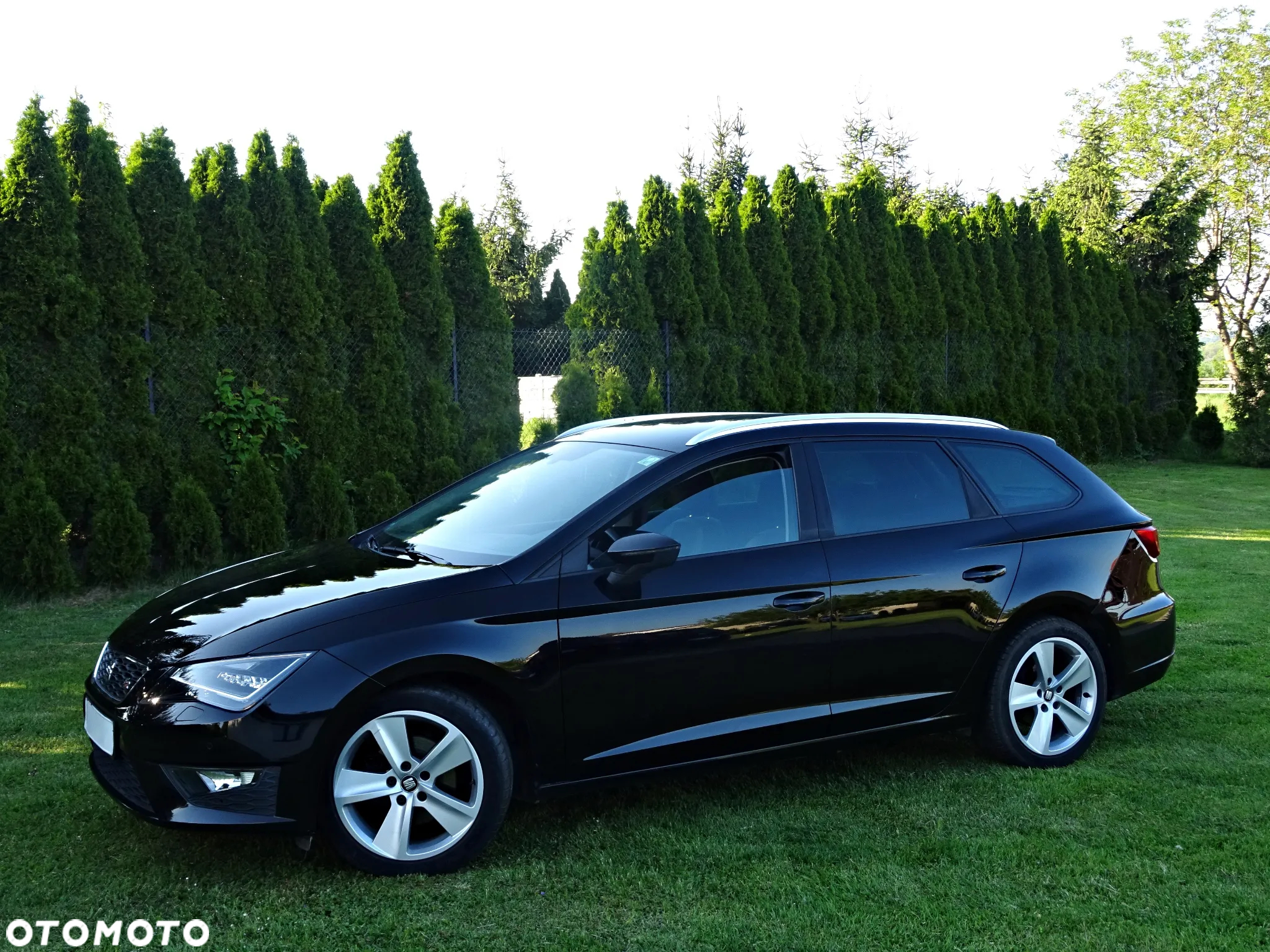 Seat Leon - 36