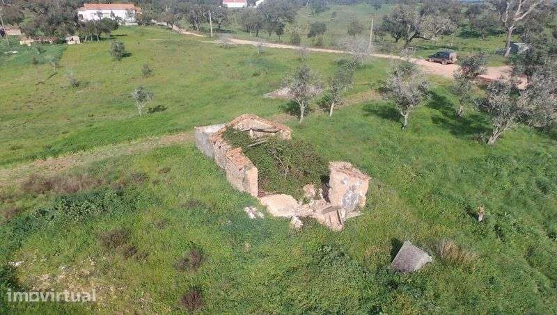 Quinta em Vale Seco  com projecto aprovado - Grande imagem: 2/10