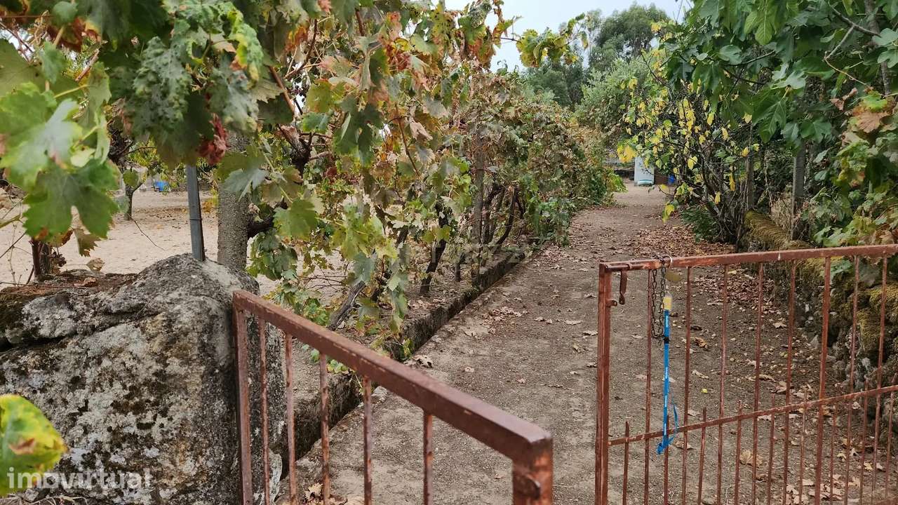 Quintinha de 2.250 m² | Natureza, água e potencial | Escalos de Baixo, - Grande imagem: 5/29