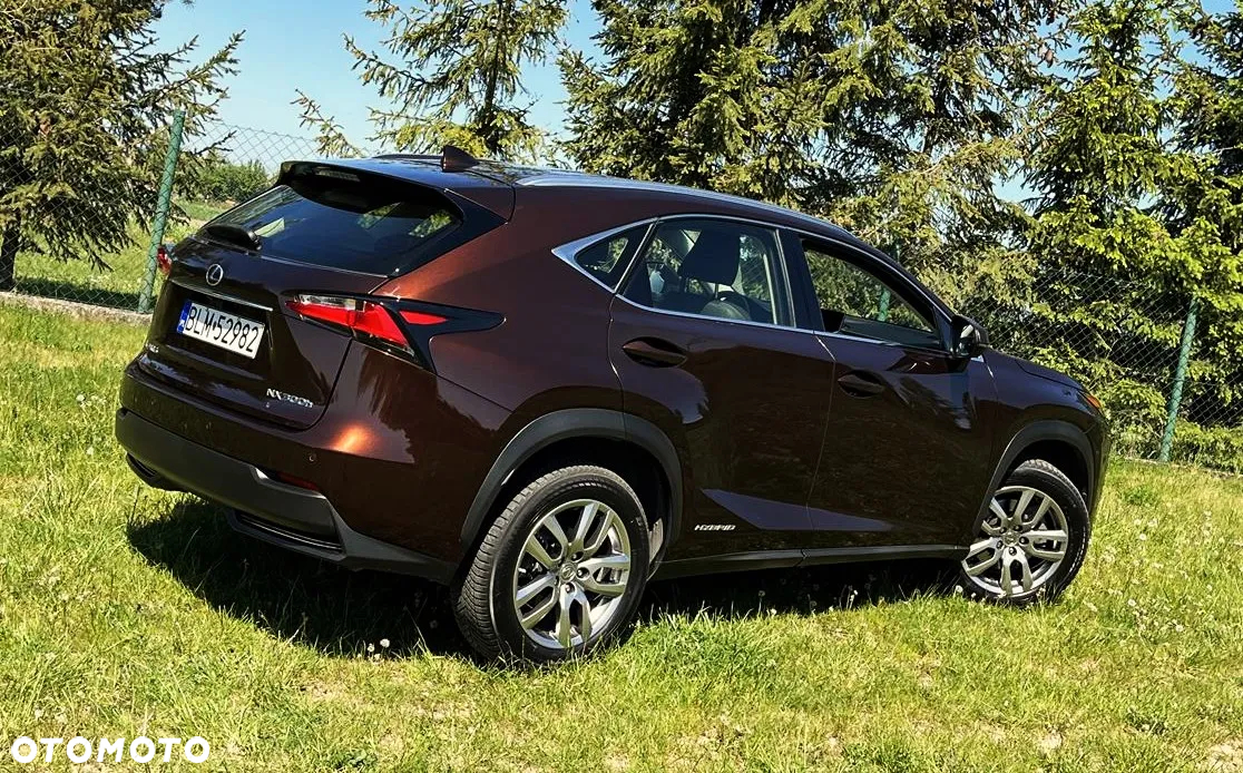 Lexus NX - 3