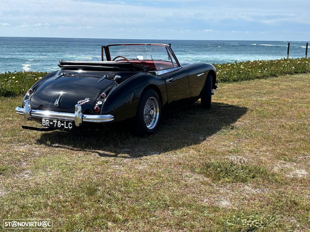 Austin Healey 3000 - 1