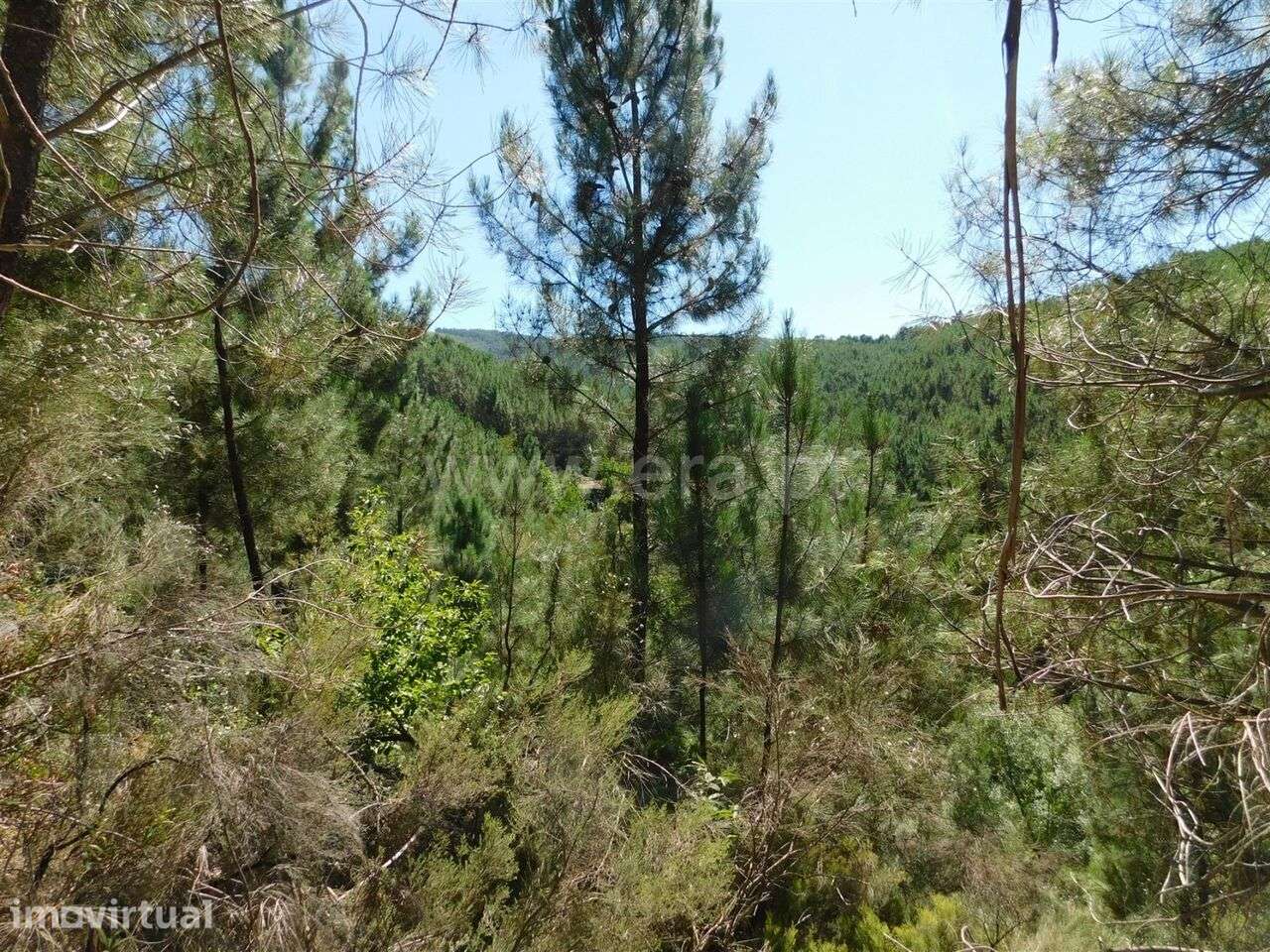 Terreno / Fundão, Enxabarda - Grande imagem: 2/2